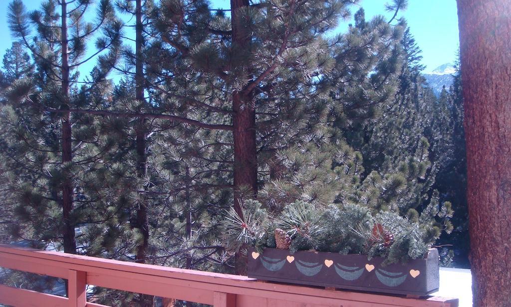 Innsbruck Lodge Mammoth Lakes Exterior foto