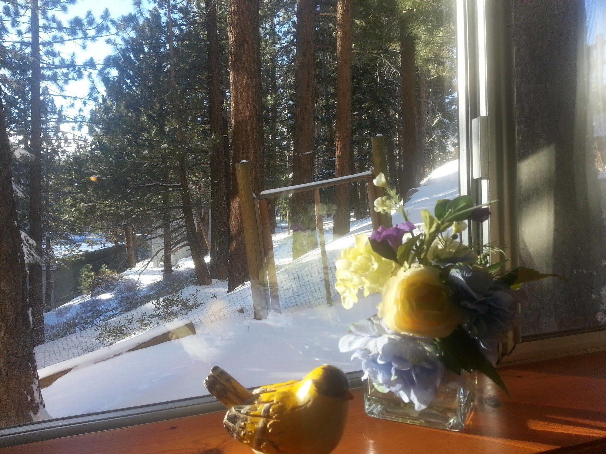 Innsbruck Lodge Mammoth Lakes Exterior foto